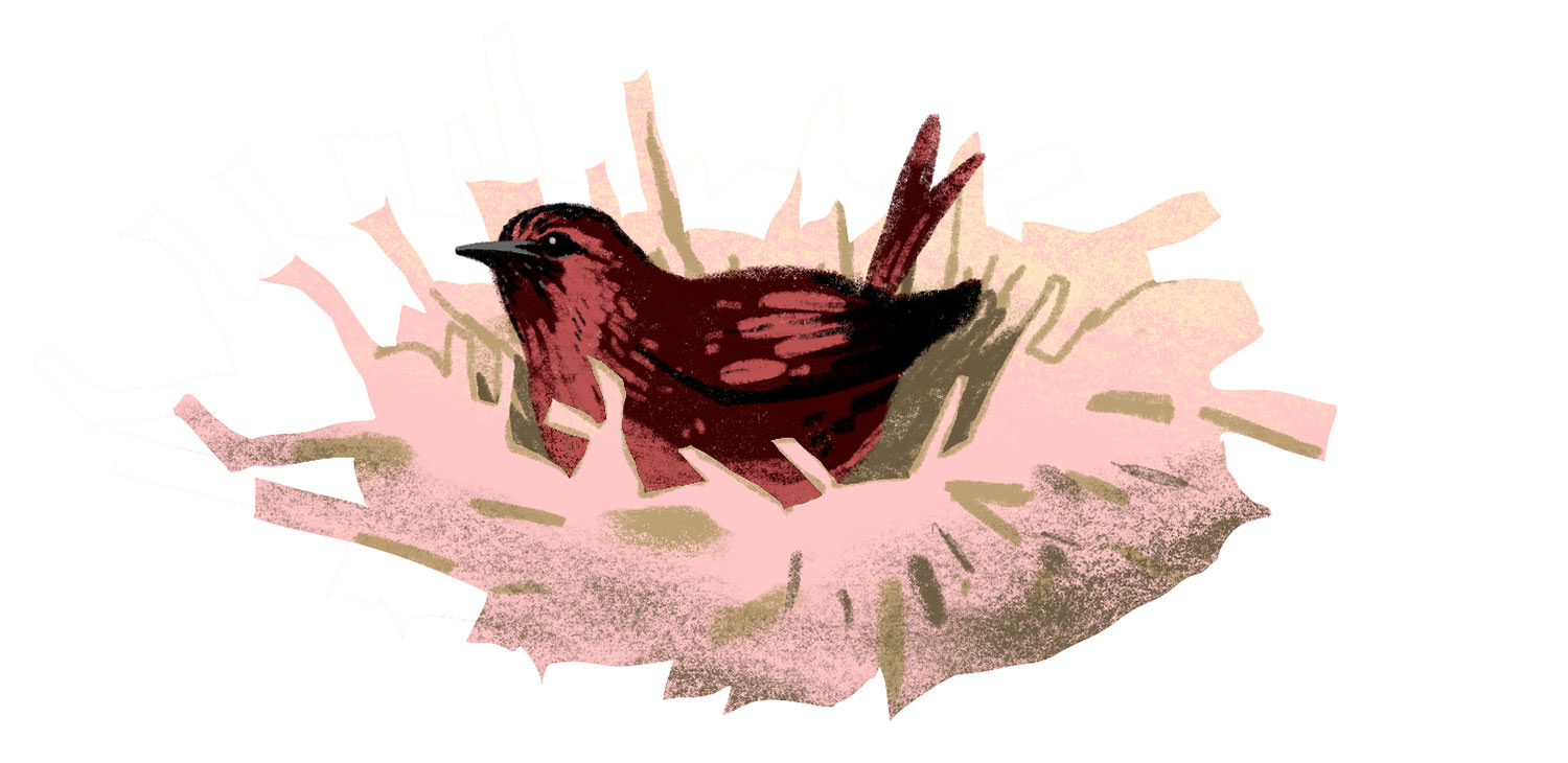 Queer Asian Discipleship