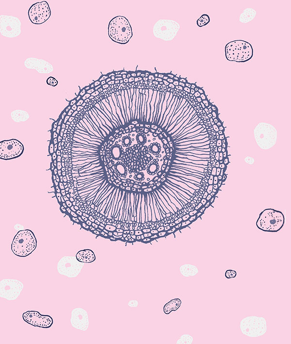 Replenish and Repeat