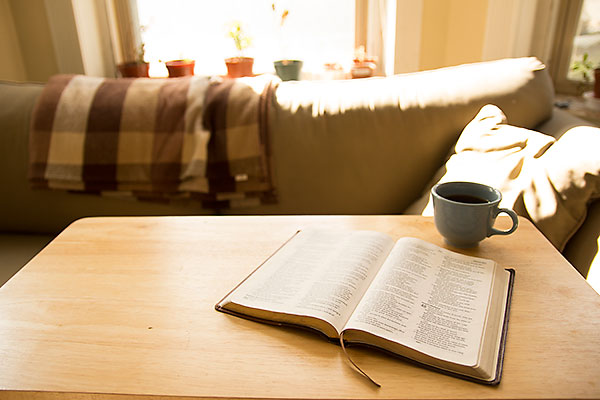 Unspectacular and Insignificant