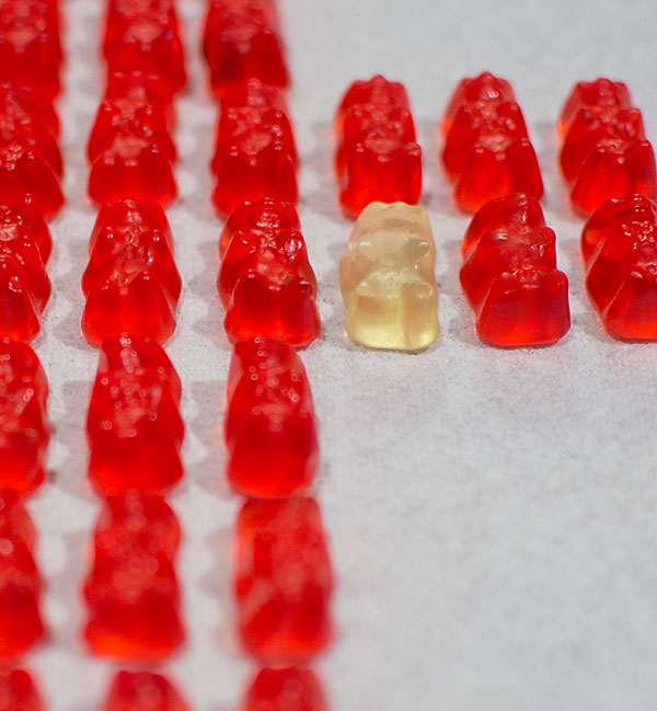 What Are They Doing Here?