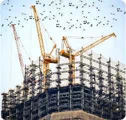 High-rise steel-frame building under construction with cranes and birds in the sky — a Diaz Murphy Studio project.