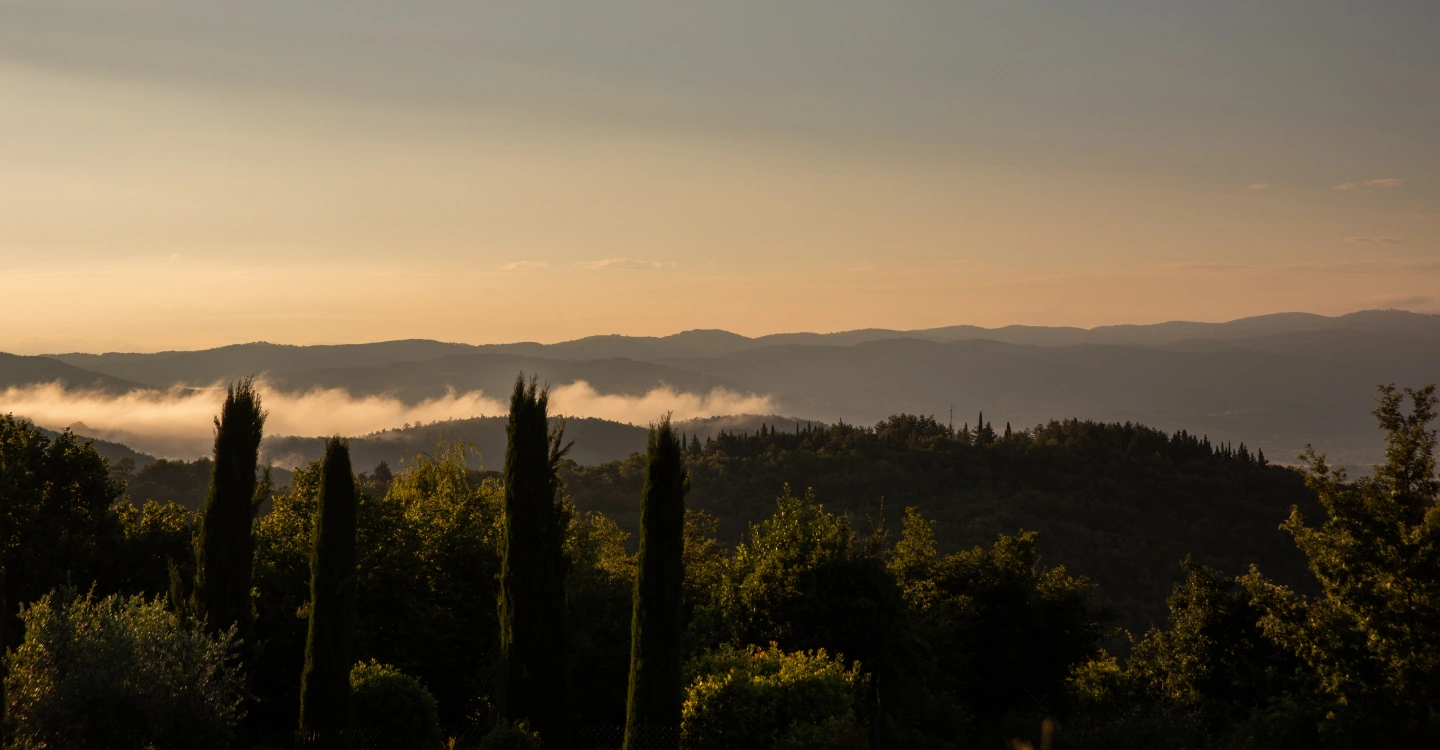 Tenuta Casucci estate in Tuscany