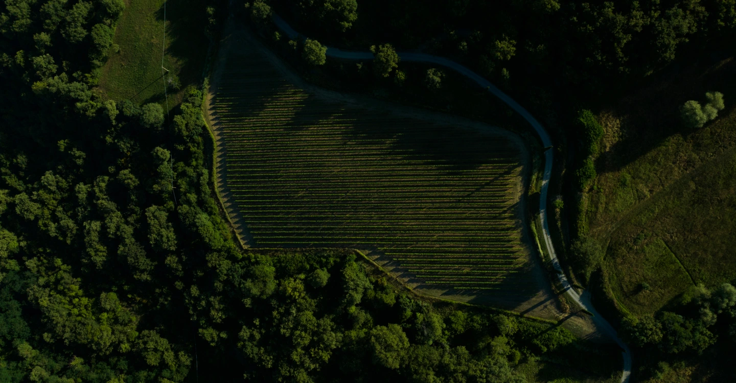 Tenuta Casucci estate in Tuscany