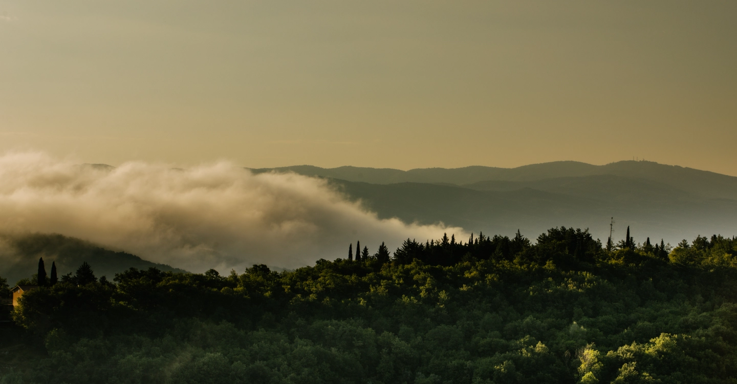 View of mist-covered hills around Tenuta Casucci