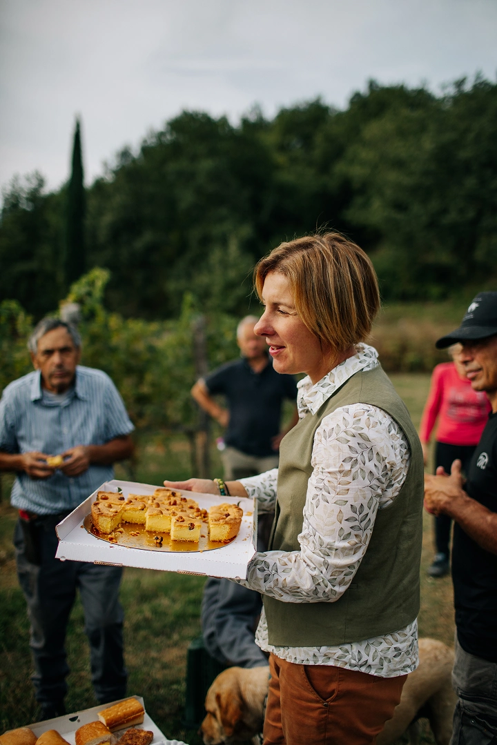 People working during the vendemmia at Tenuta Casucci