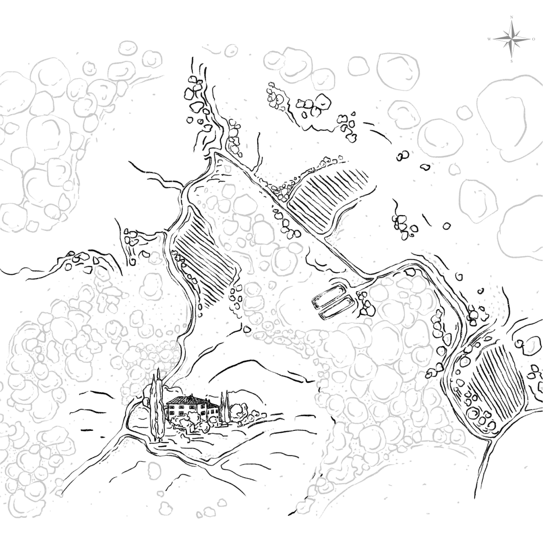 Interactive map of the vineyards at Tenuta Casucci