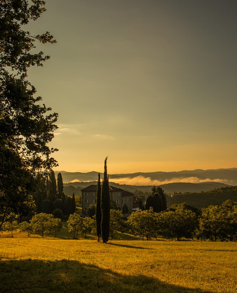 Views of the Tenuta Casucci estate, vineyards, grapes, and people working in the fields