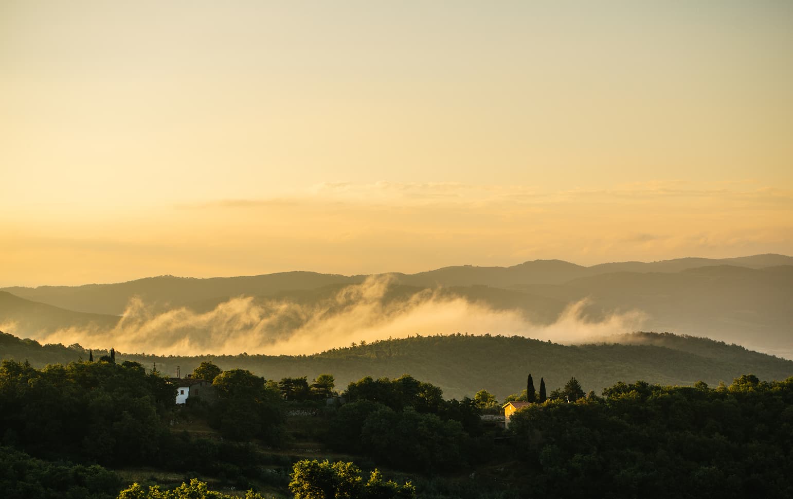 Views of the Tenuta Casucci estate, vineyards, grapes, and people working in the fields