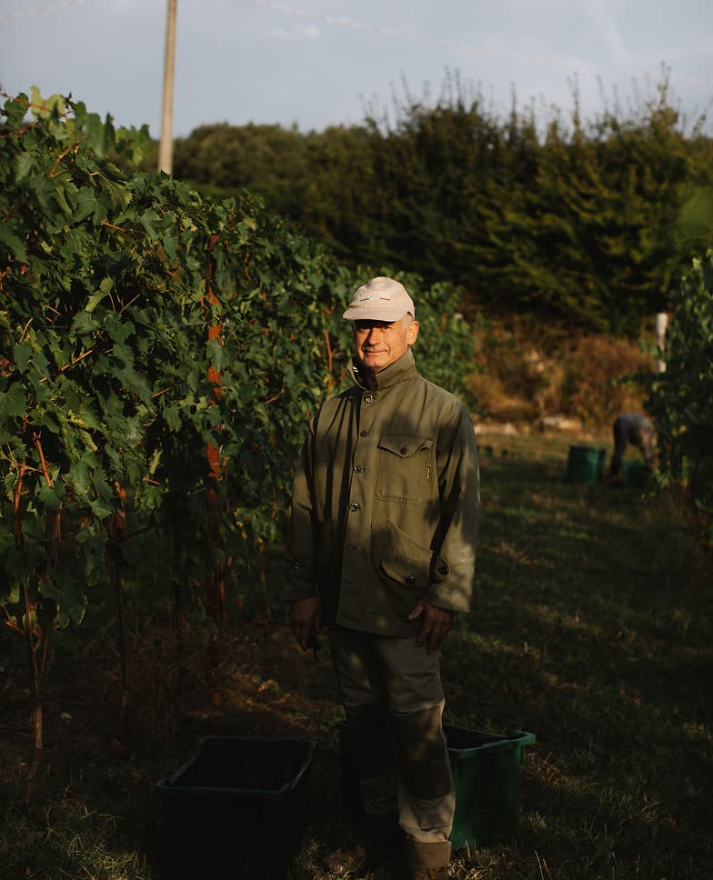 Views of the Tenuta Casucci estate, vineyards, grapes, and people working in the fields