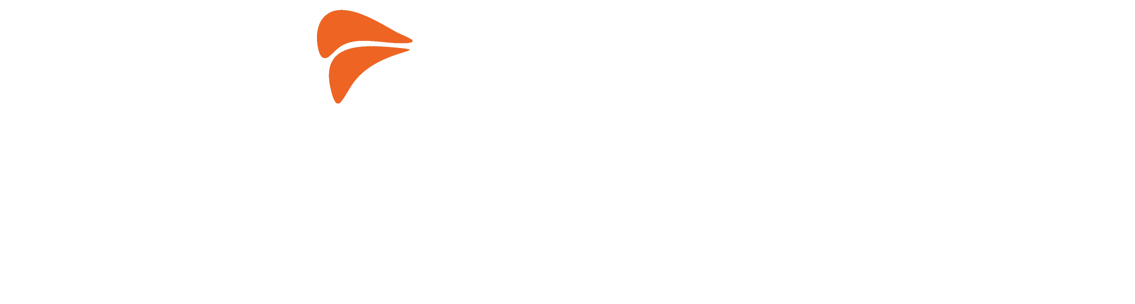 fairweb_logo_white