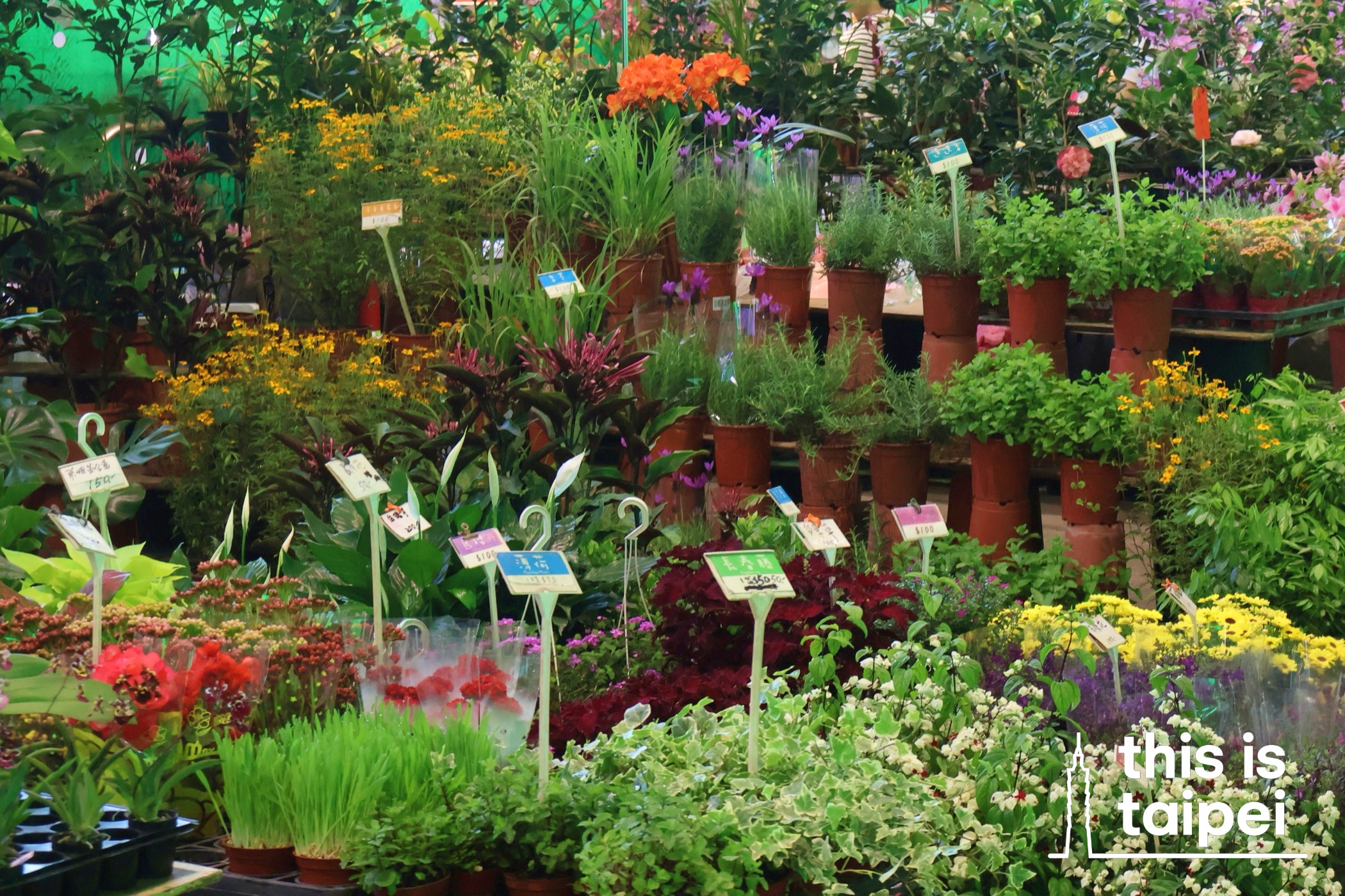 Jianguo Holiday Flower Market in Daan District. (Photo by KB, March 2026 / © This Is Taipei)
