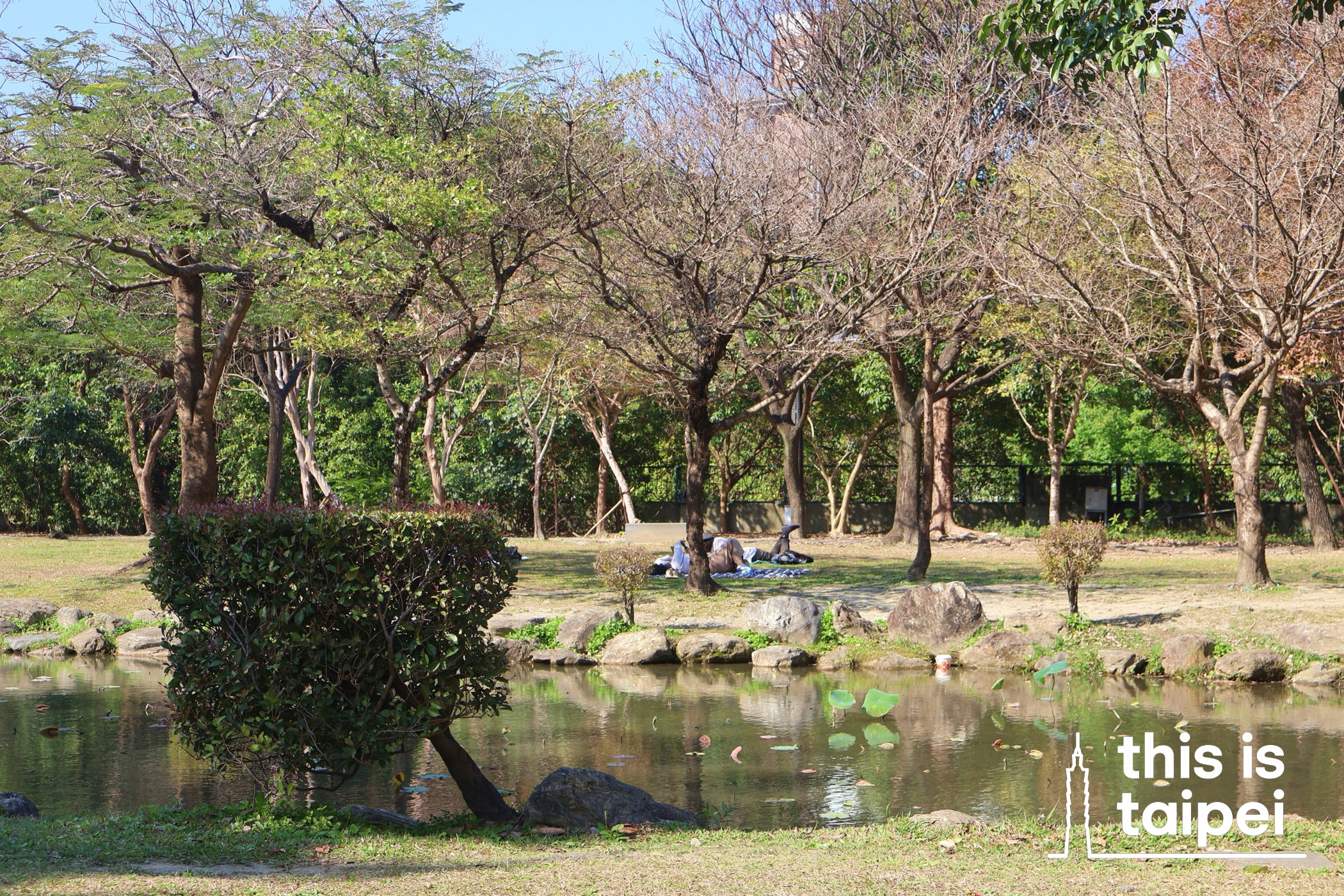 Central Art Park in Zhongzheng District. (Photo by KB, February 2026 / © This Is Taipei)
