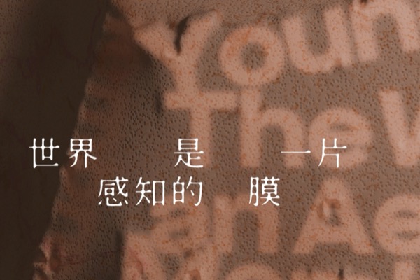 Young Folks: The World as an Aesthetic Membrane