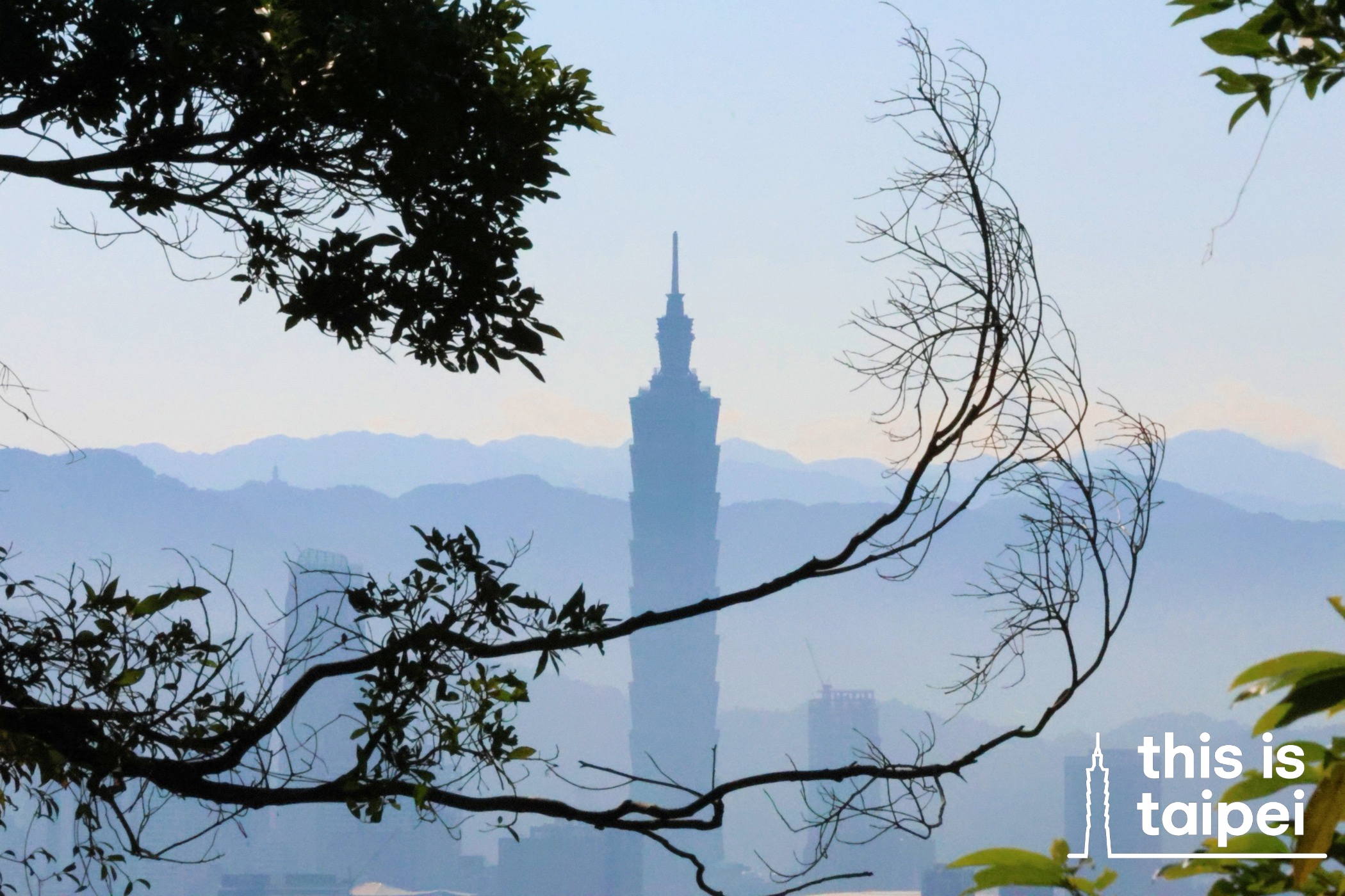 Taipei 101 and the city from Lao Difang. (Photo by JT, January 2026 / © This Is Taipei)