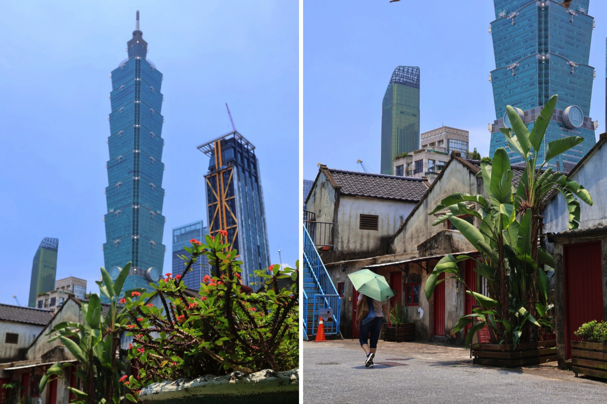 Taipei 101 and the city from the Nangang Mountain Range. (Photo by KB, January 2026 / © This Is Taipei)