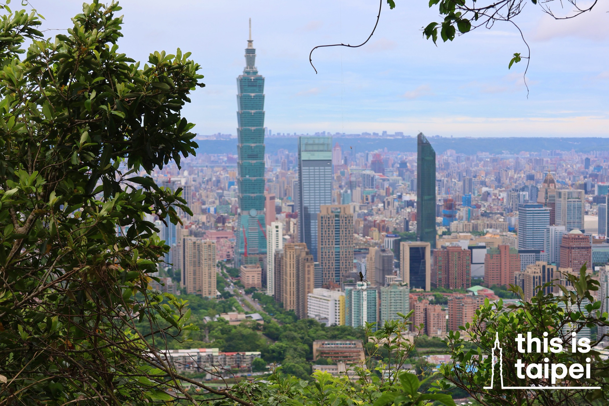 Taipei 101 and the city from the Nangang Mountain Range. (Photo by KB, January 2026 / © This Is Taipei)