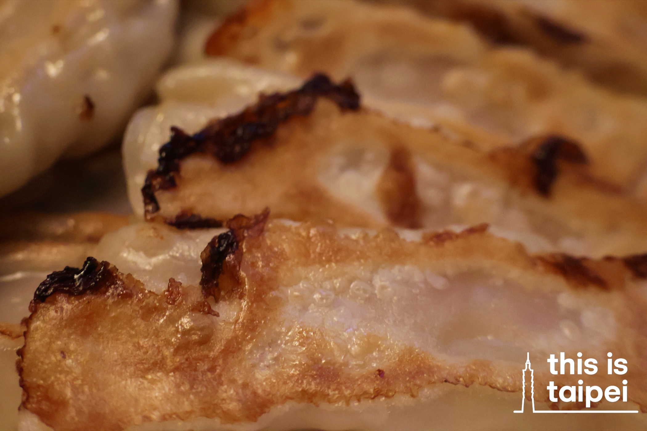 Pan Fried Dumplings from Bafang in Nangang District. (Photo by KB, July 2026 / © This Is Taipei)