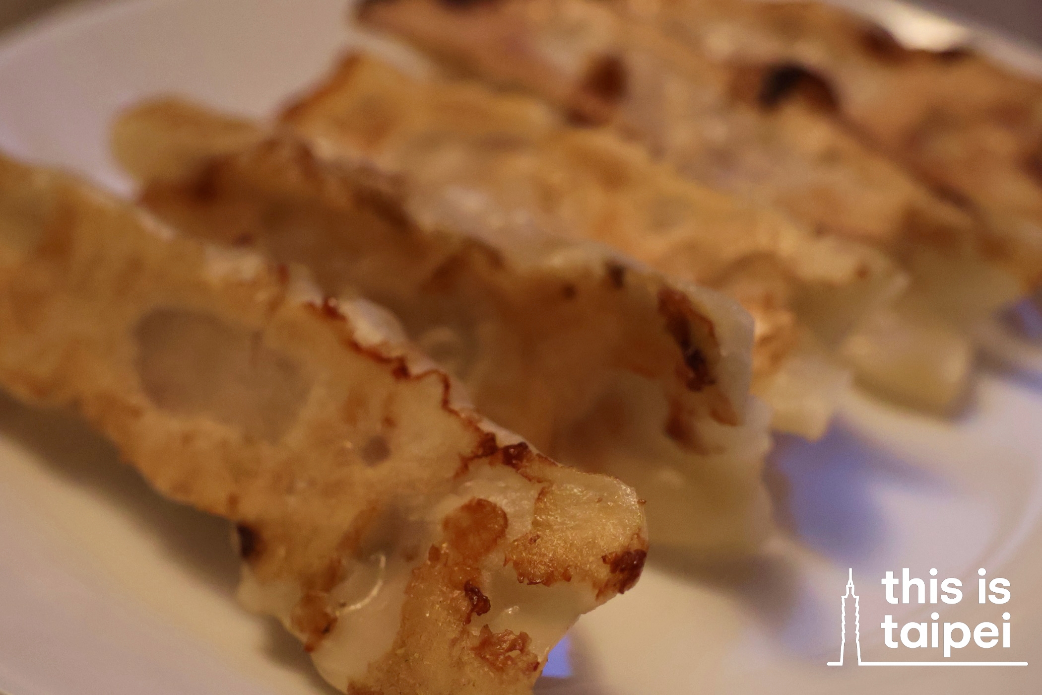 Pan Fried Dumplings from Bafang in Nangang District. (Photos by KB, July 2026 / © This Is Taipei)