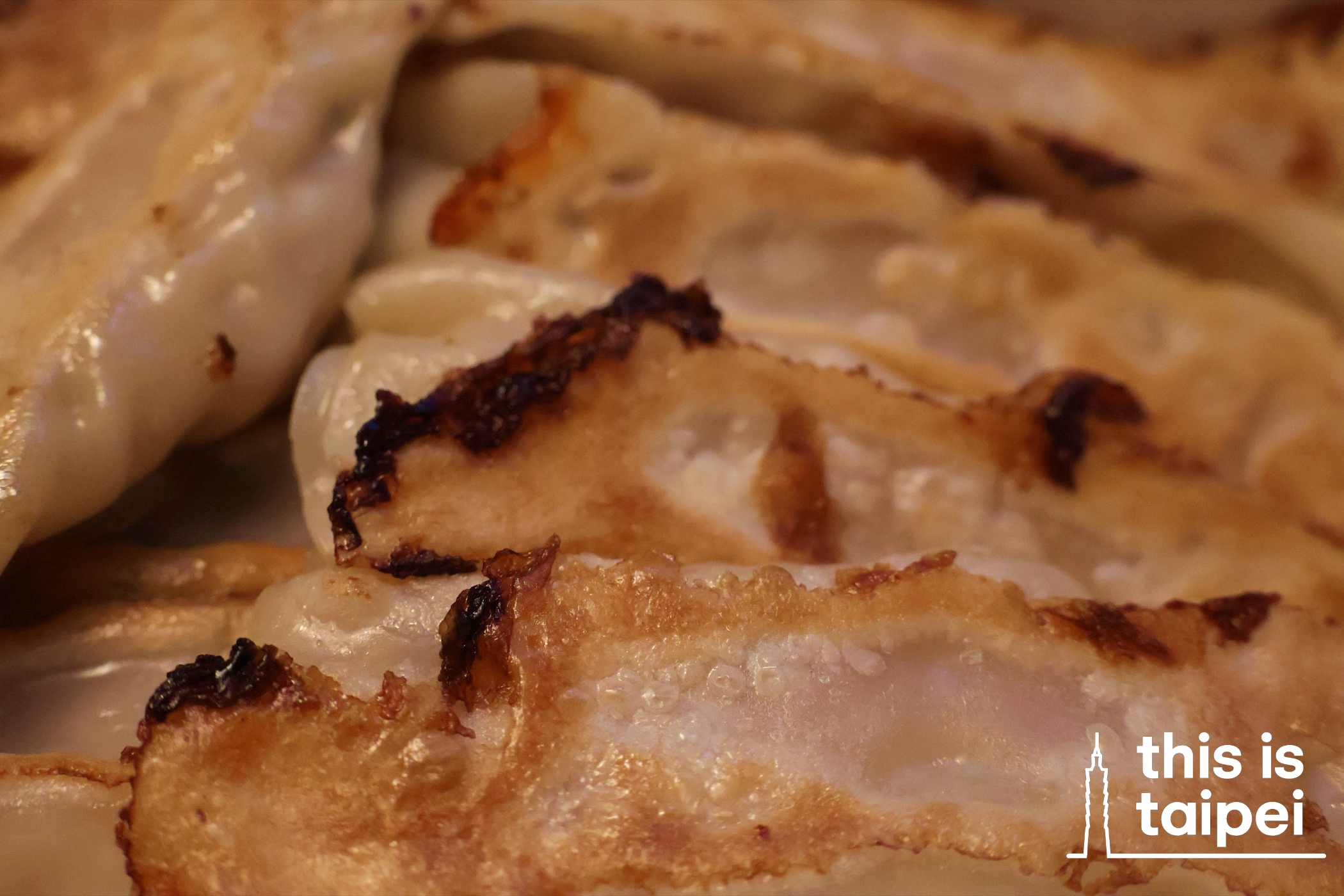 Pan Fried Dumplings from Bafang in Nangang District. (Photos by KB, July 2026 / © This Is Taipei)