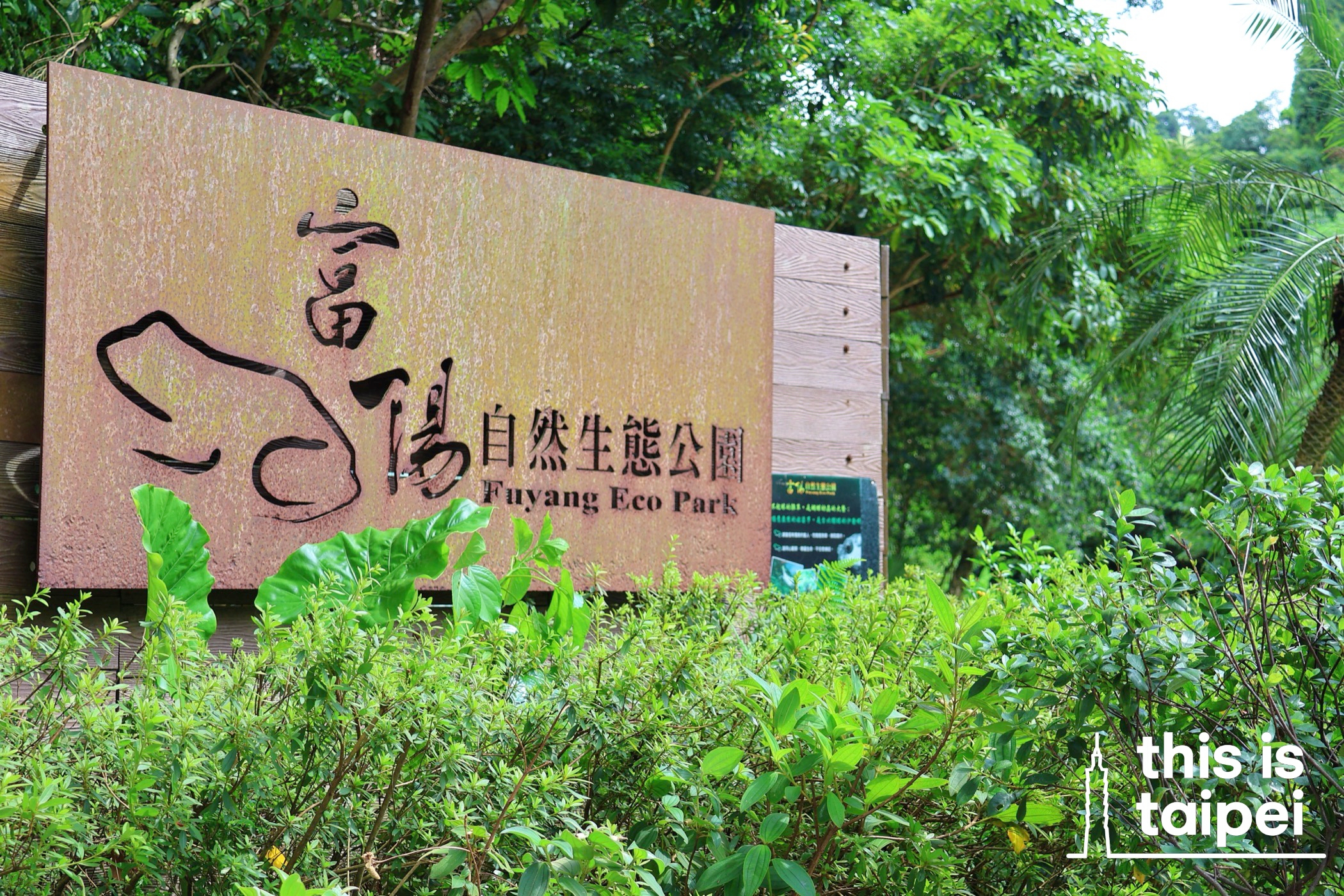 Fuyang Eco Park in Daan District. (Photo by KB, July 2026 / © This Is Taipei)