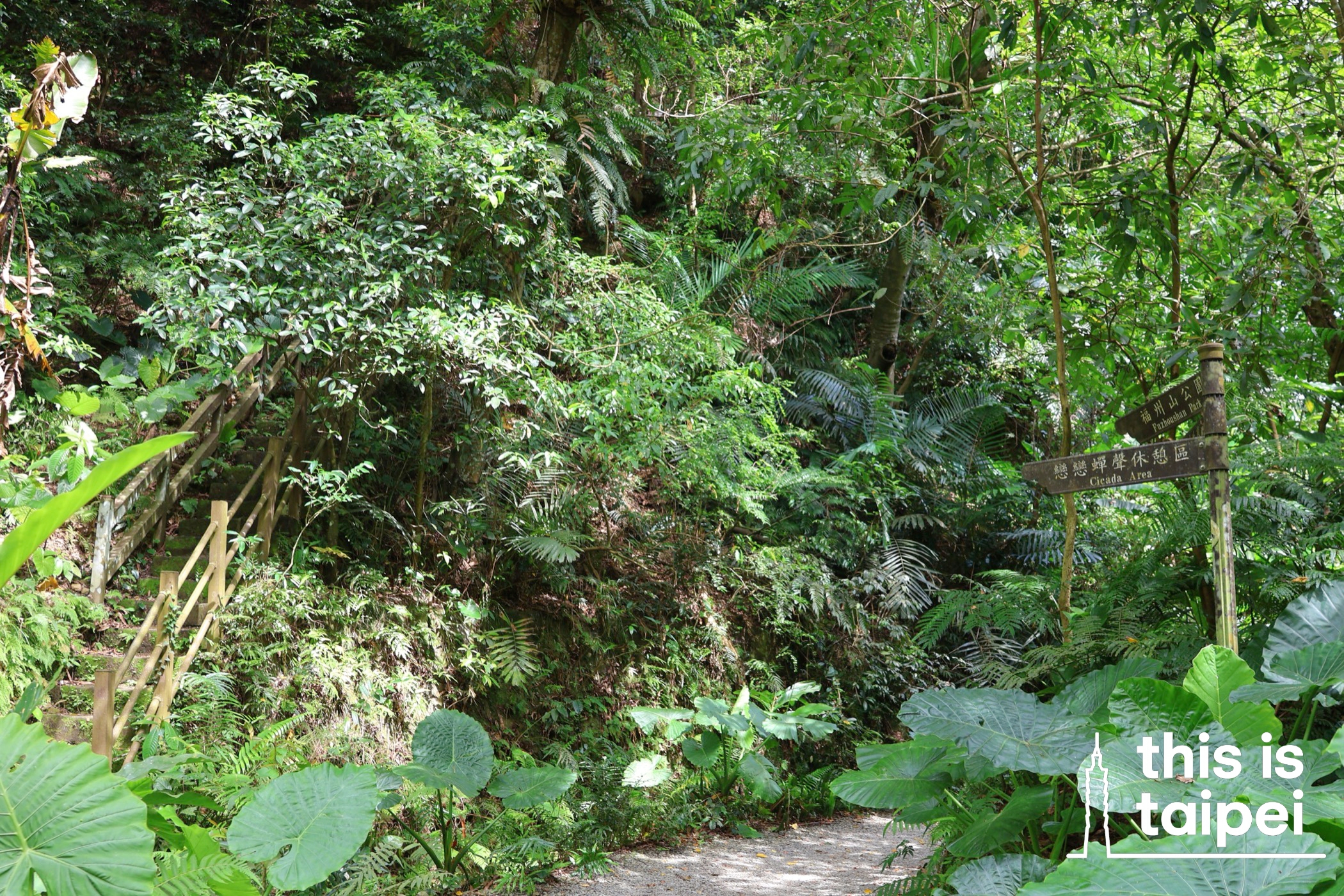 Fuyang Eco Park in Daan District. (Photos by KB, July 2026 / © This Is Taipei)
