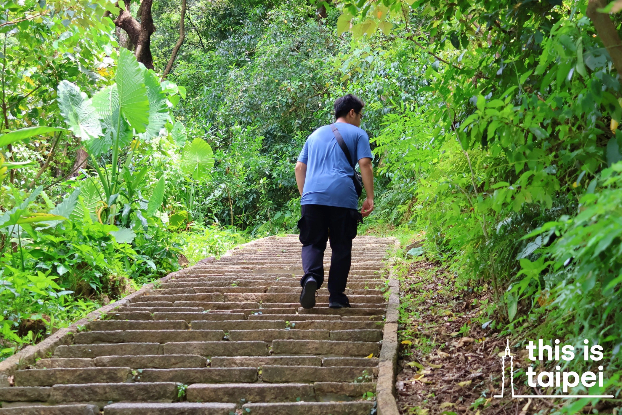 The Xiangshan trail in Xinyi District. (Photos by KB, July 2026 / © This Is Taipei)