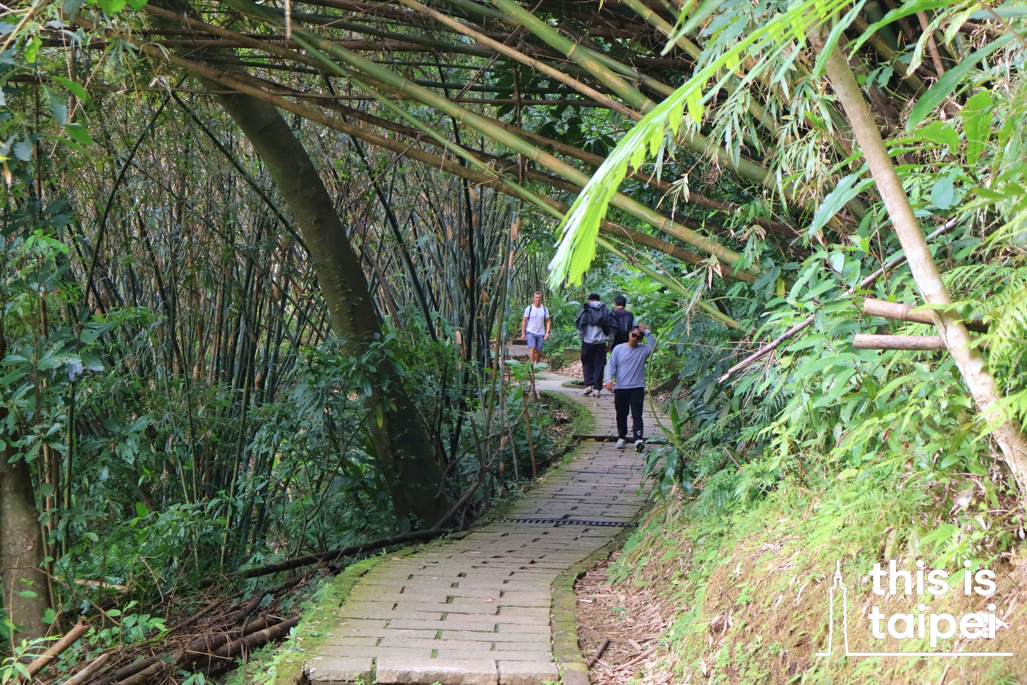 The Xiangshan trail in Xinyi District. (Photos by KB, July 2026 / © This Is Taipei)