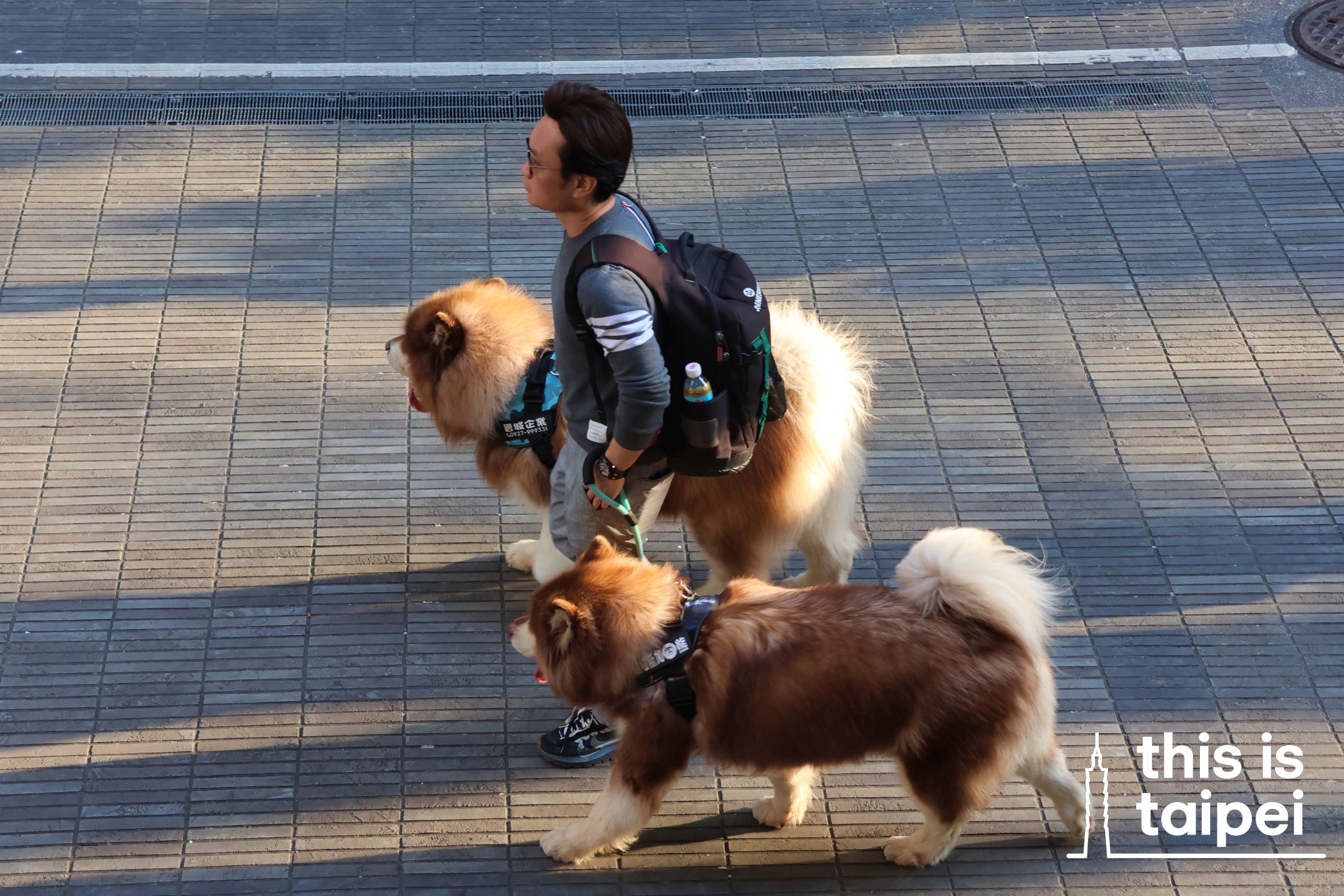 Xinyi District. (Photos by JT, March 2026 / © This Is Taipei)