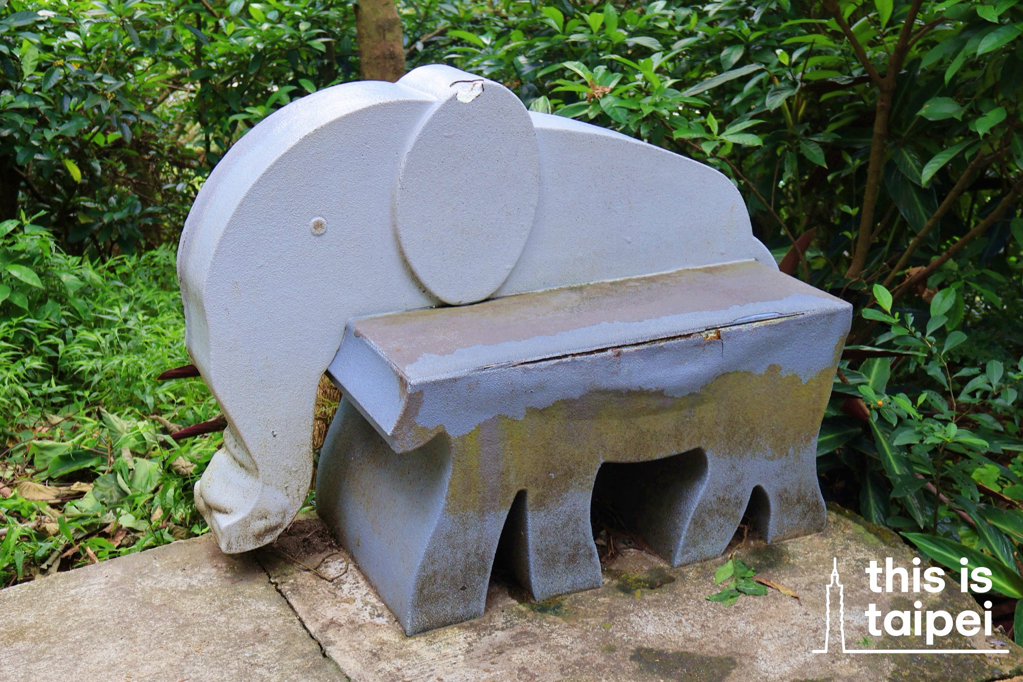 Elephant Mountain in Xinyi District. (Photos by KB, July 2026 / © This Is Taipei)