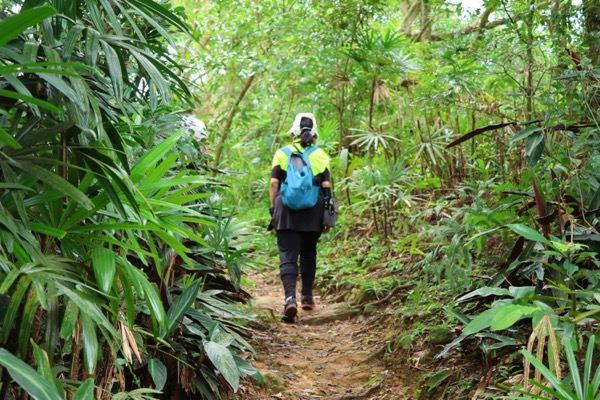 Easy hikes in Taipei