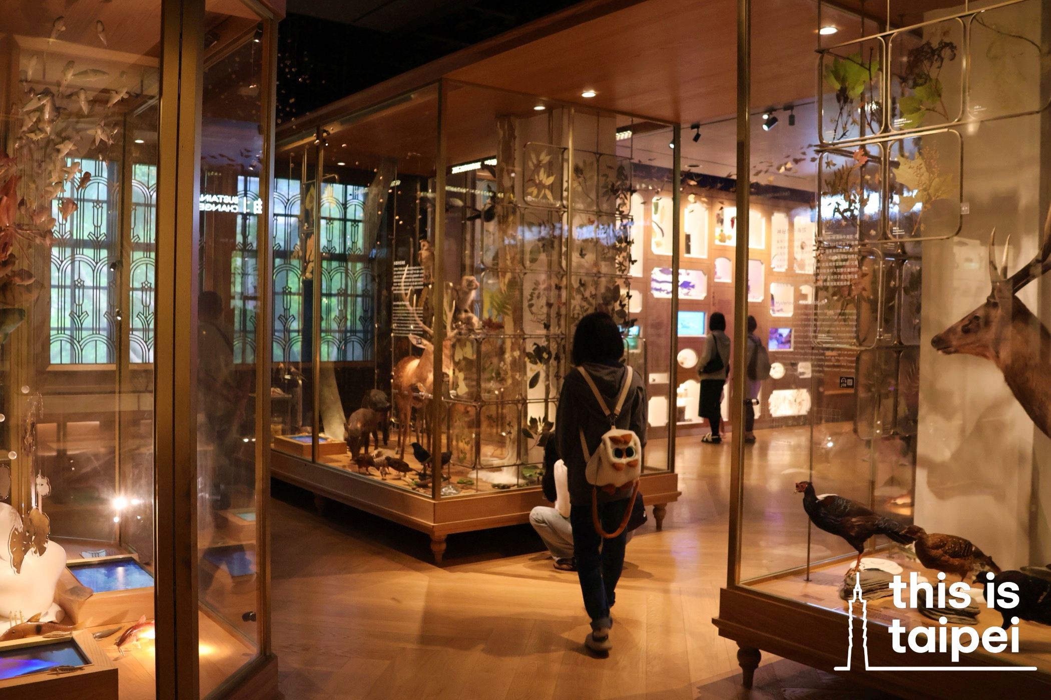 National Taiwan Museum in Zhongzheng District. (Photos by KB, September 2026 / © This Is Taipei)