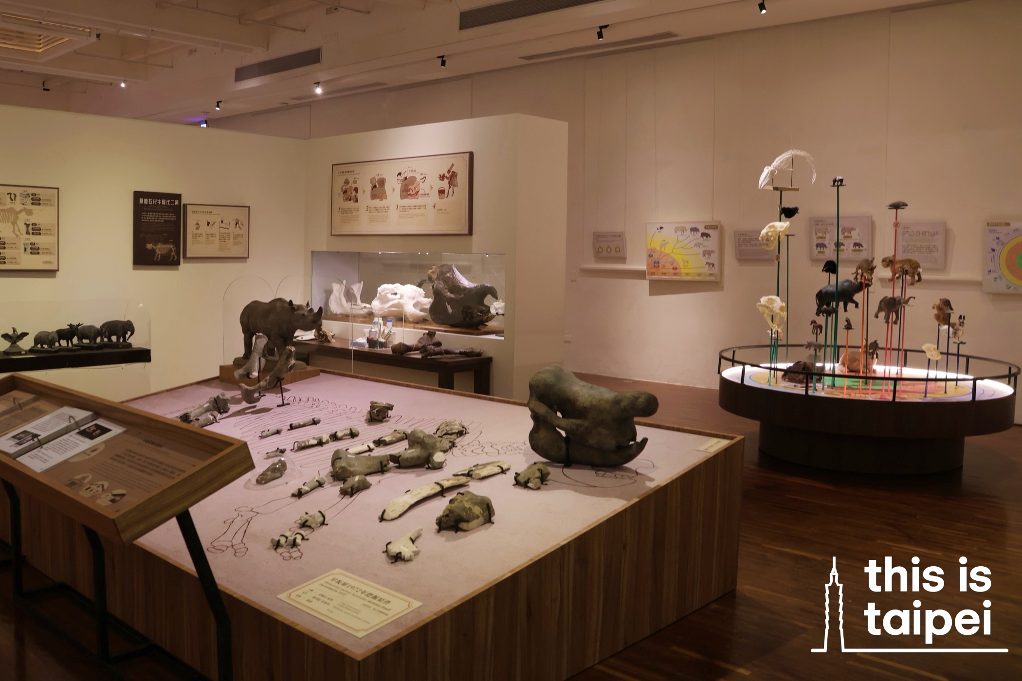 National Taiwan Museum in Zhongzheng District. (Photos by KB, September 2026 / © This Is Taipei)