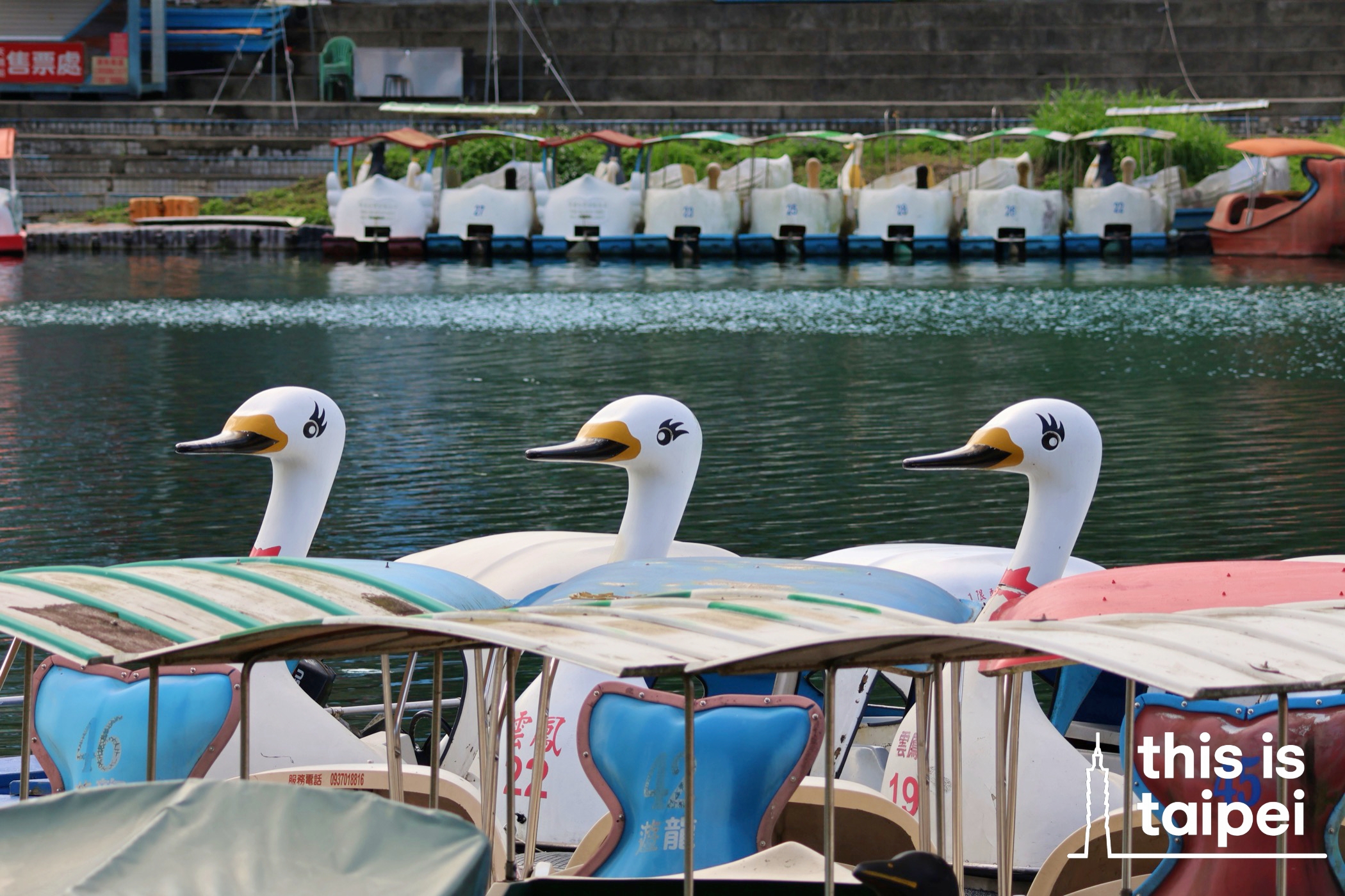 Bitan Scenic Area in New Taipei's Xindian District. (Photo by JT, February 2026 / © This Is Taipei)