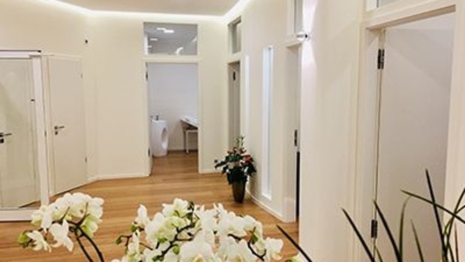 Practice team member photo