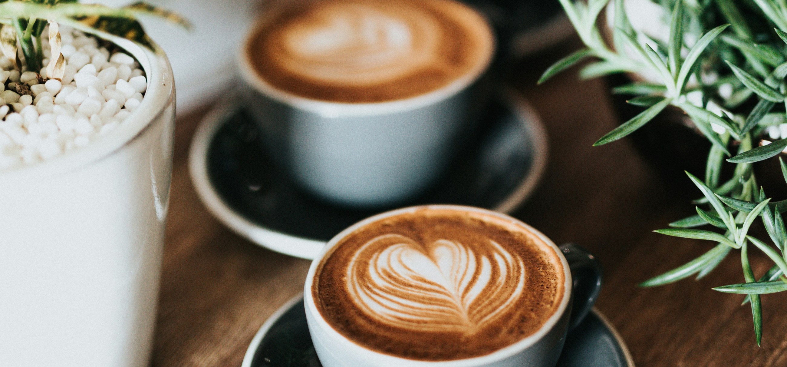 Zwei Tassen Latte mit Milchkunst auf einem Holztisch neben Topfpflanzen