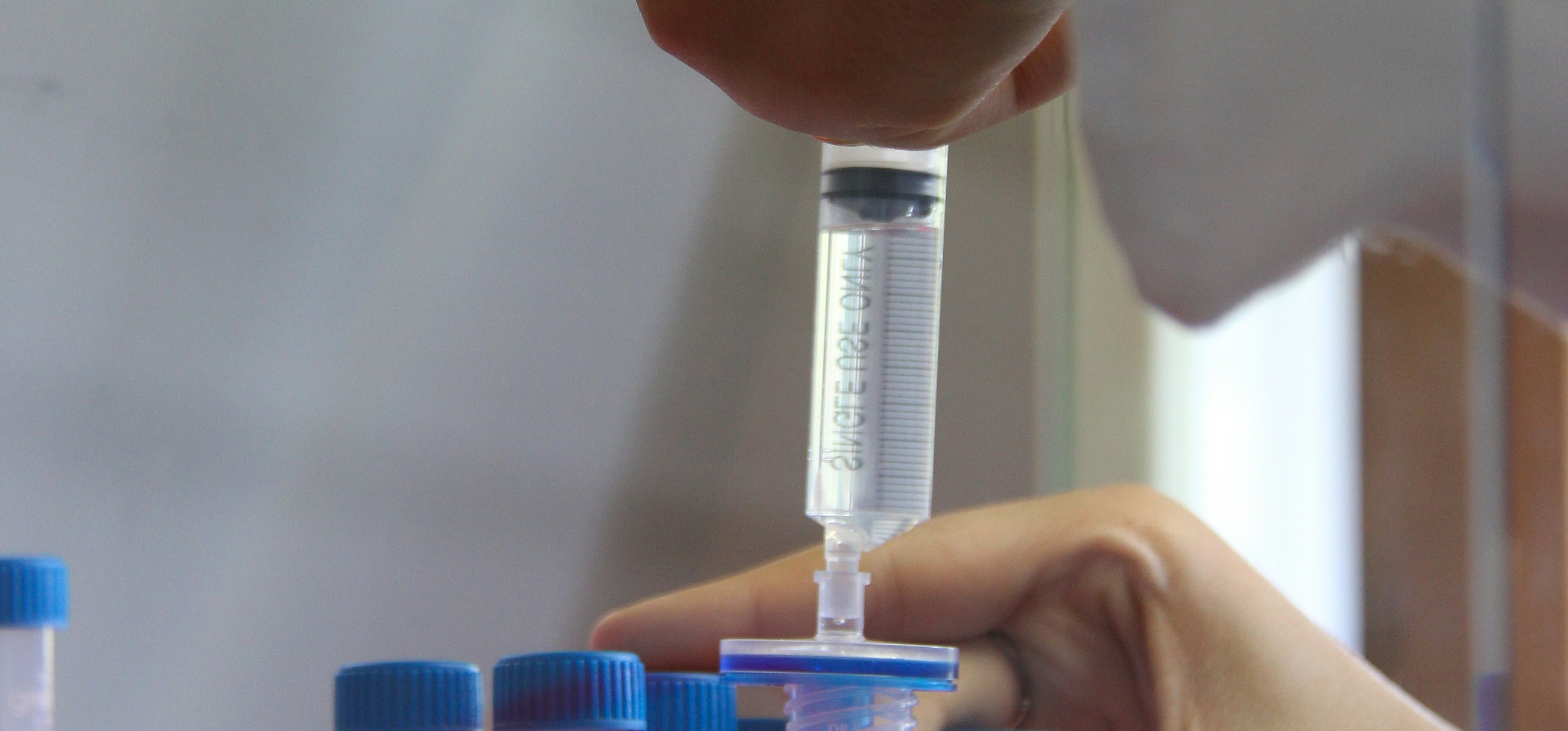 Hände mit Handschuhen, die eine Blutprobe in ein Entnahmeröhrchen überführen
