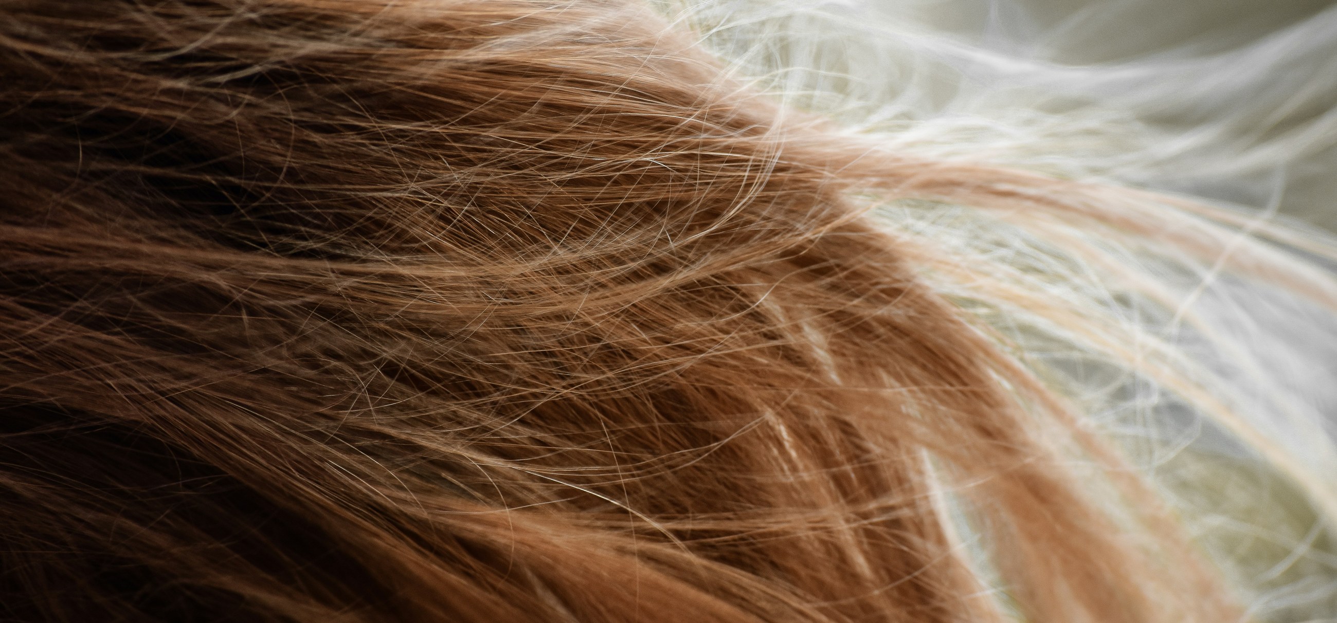 A close-up of long hair strands lifted by the wind