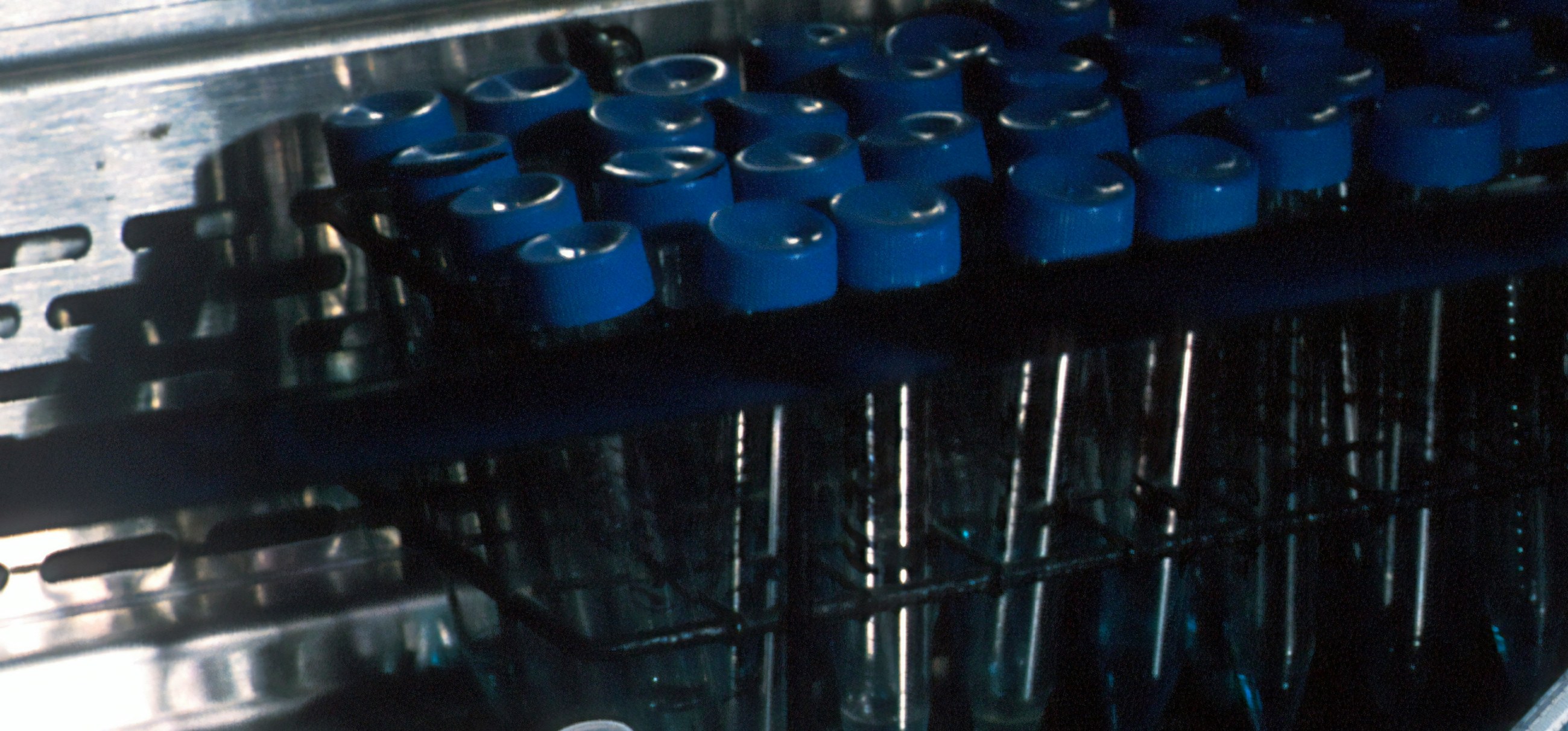 Rack of blood sample tubes with blue caps in a laboratory