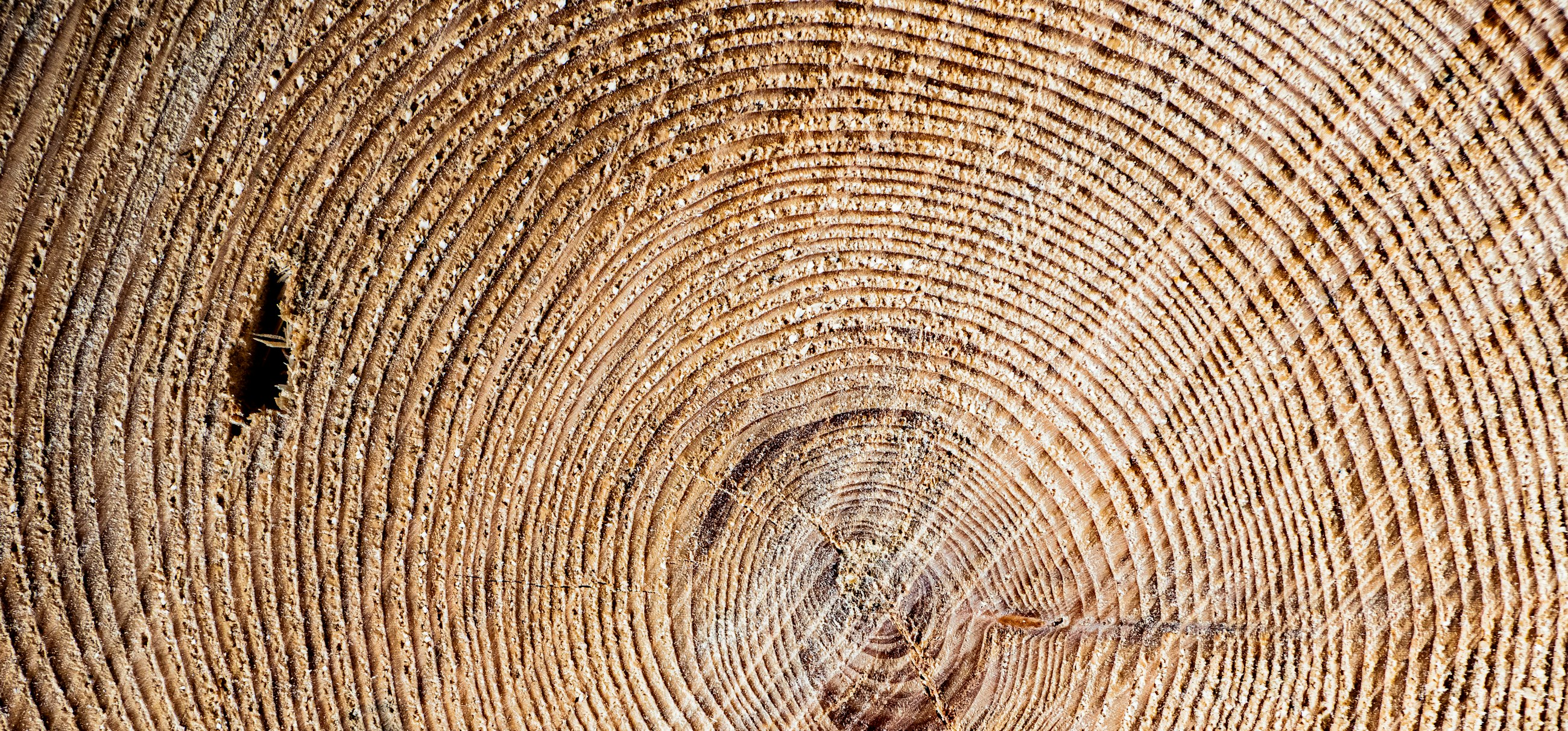Blog post cover image