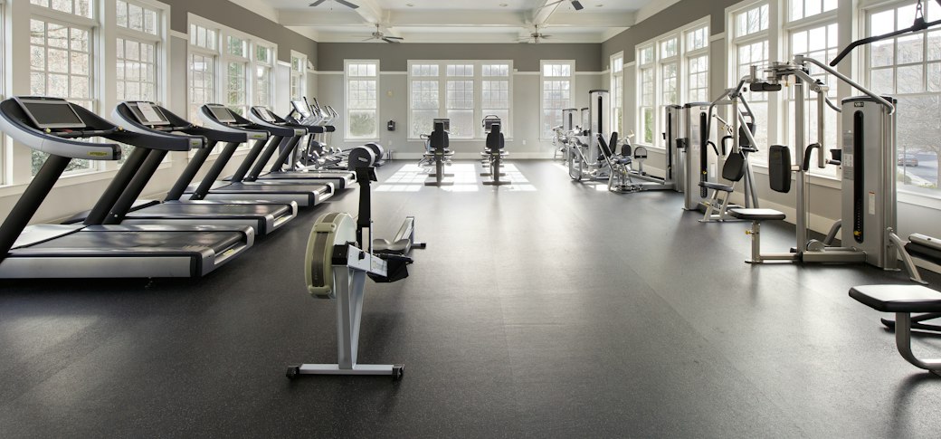 A spacious light-filled gym with a row of treadmills along tall windows and resistance machines on the far wall.