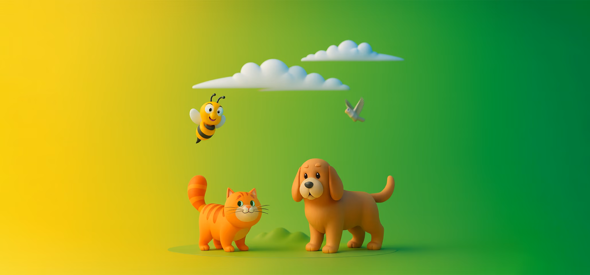 Video and content project sample