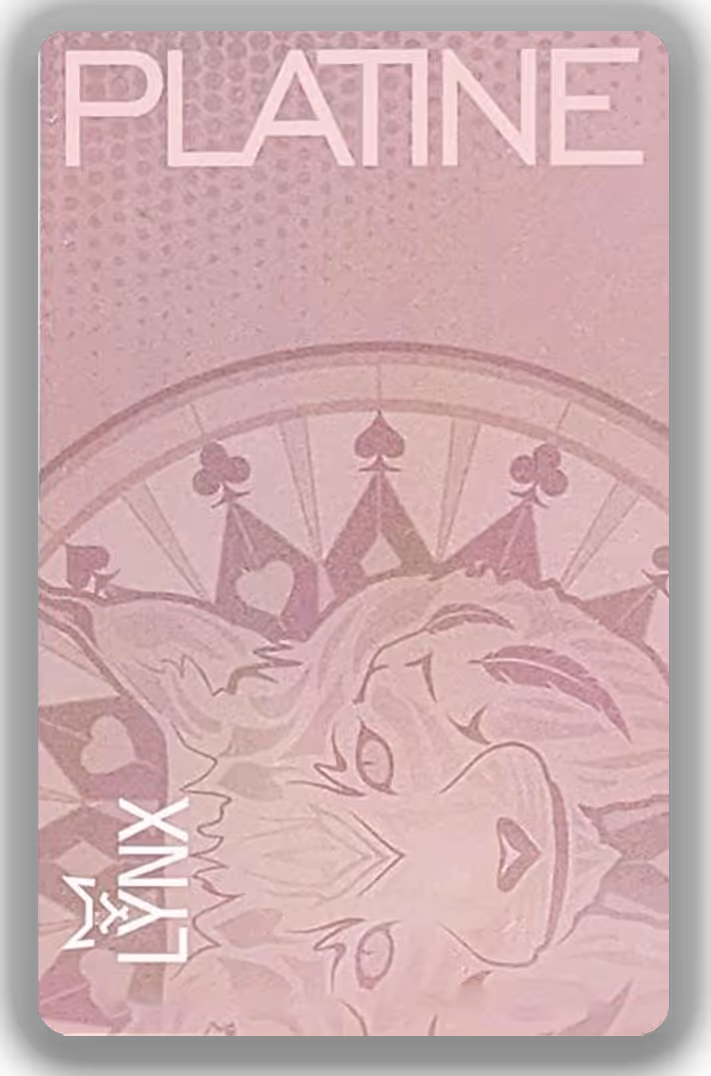 Platine VIP card with silver texture