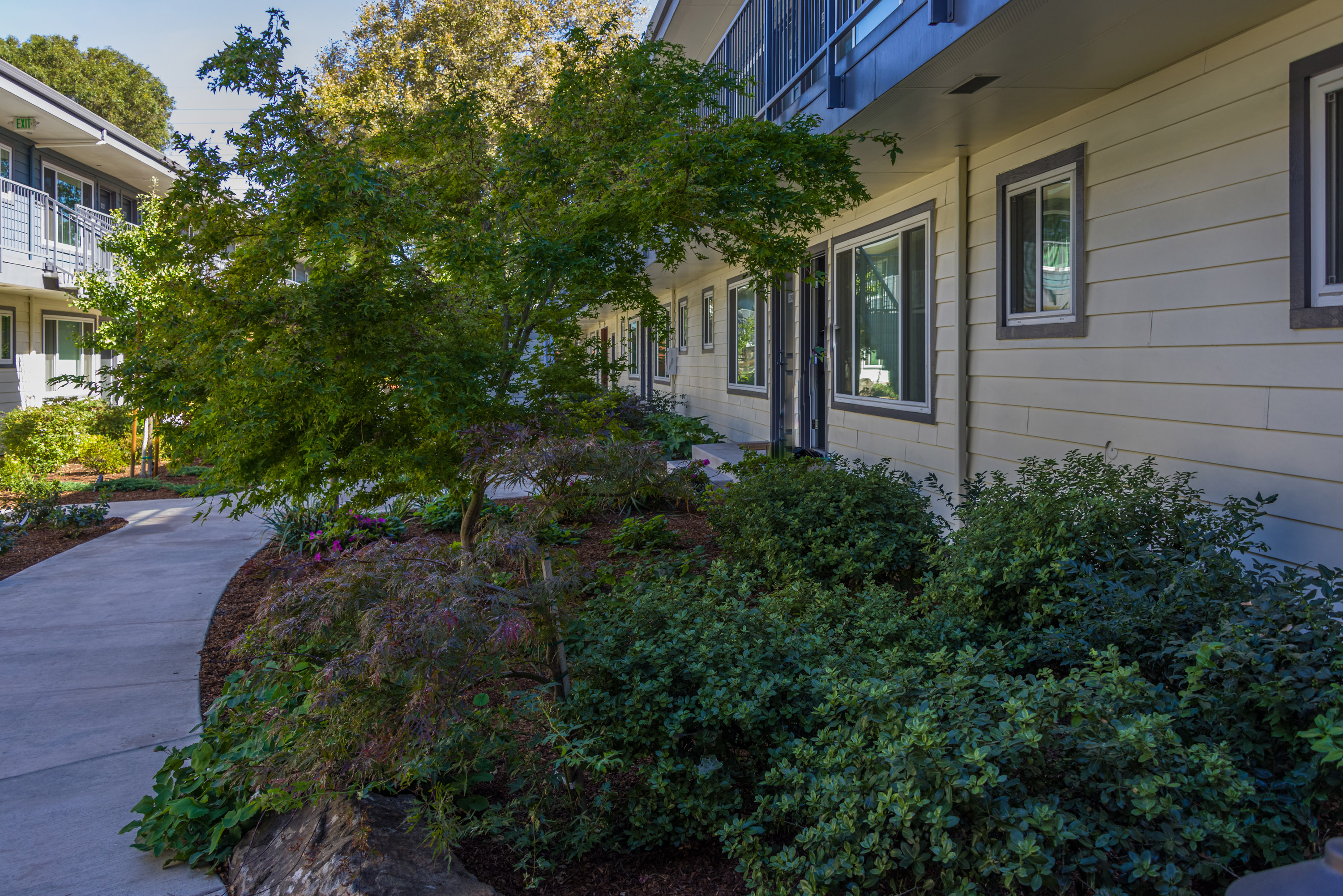 landscaping