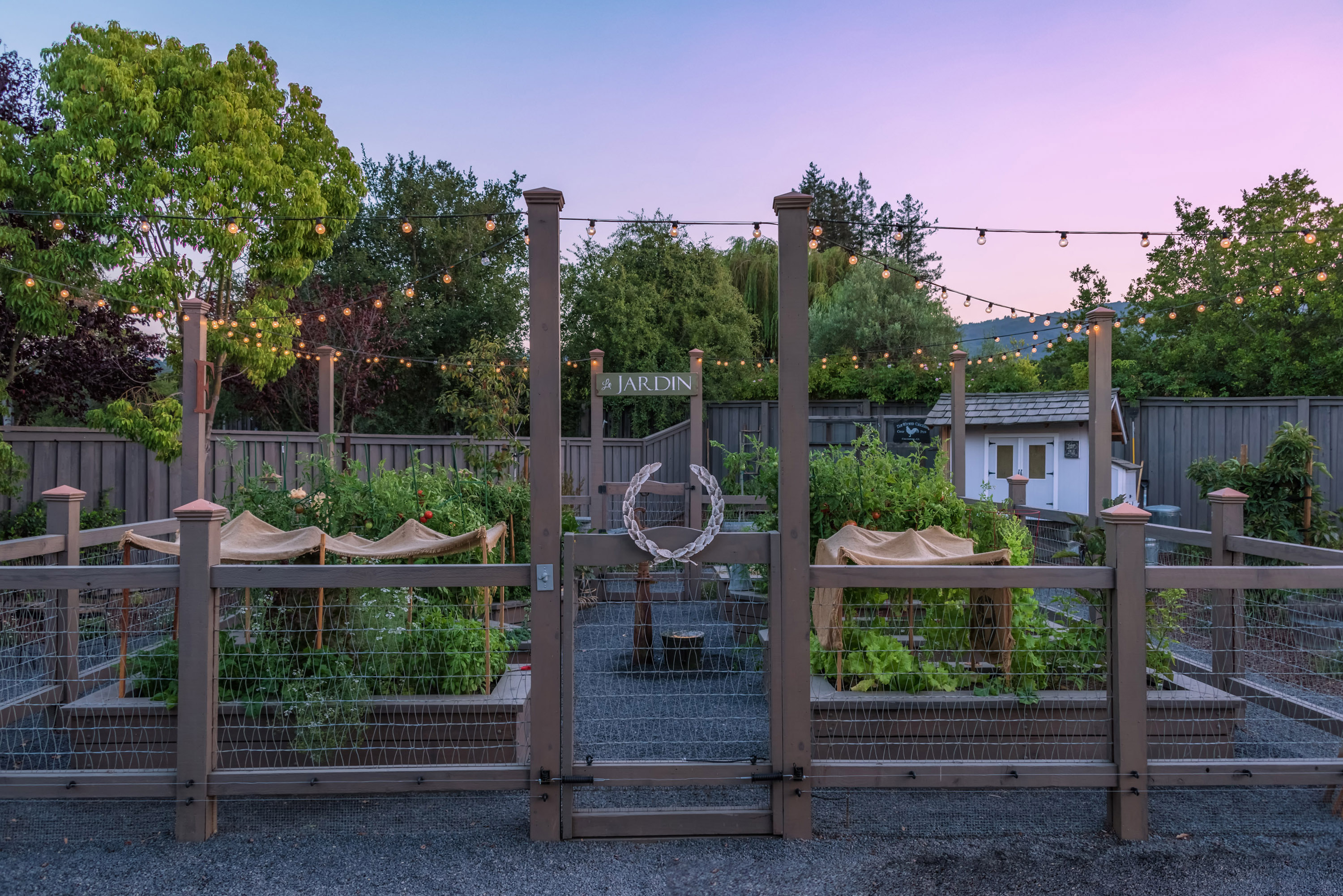 garden