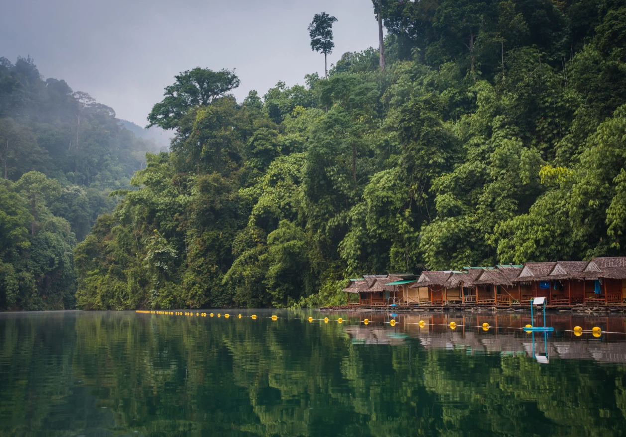 few houses at a river with a forrest in the background