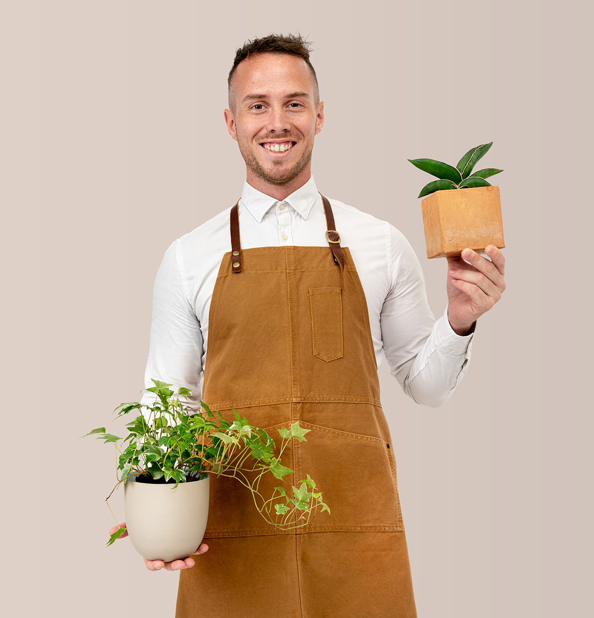 Smiling person in apron holding potted plants with green leaves