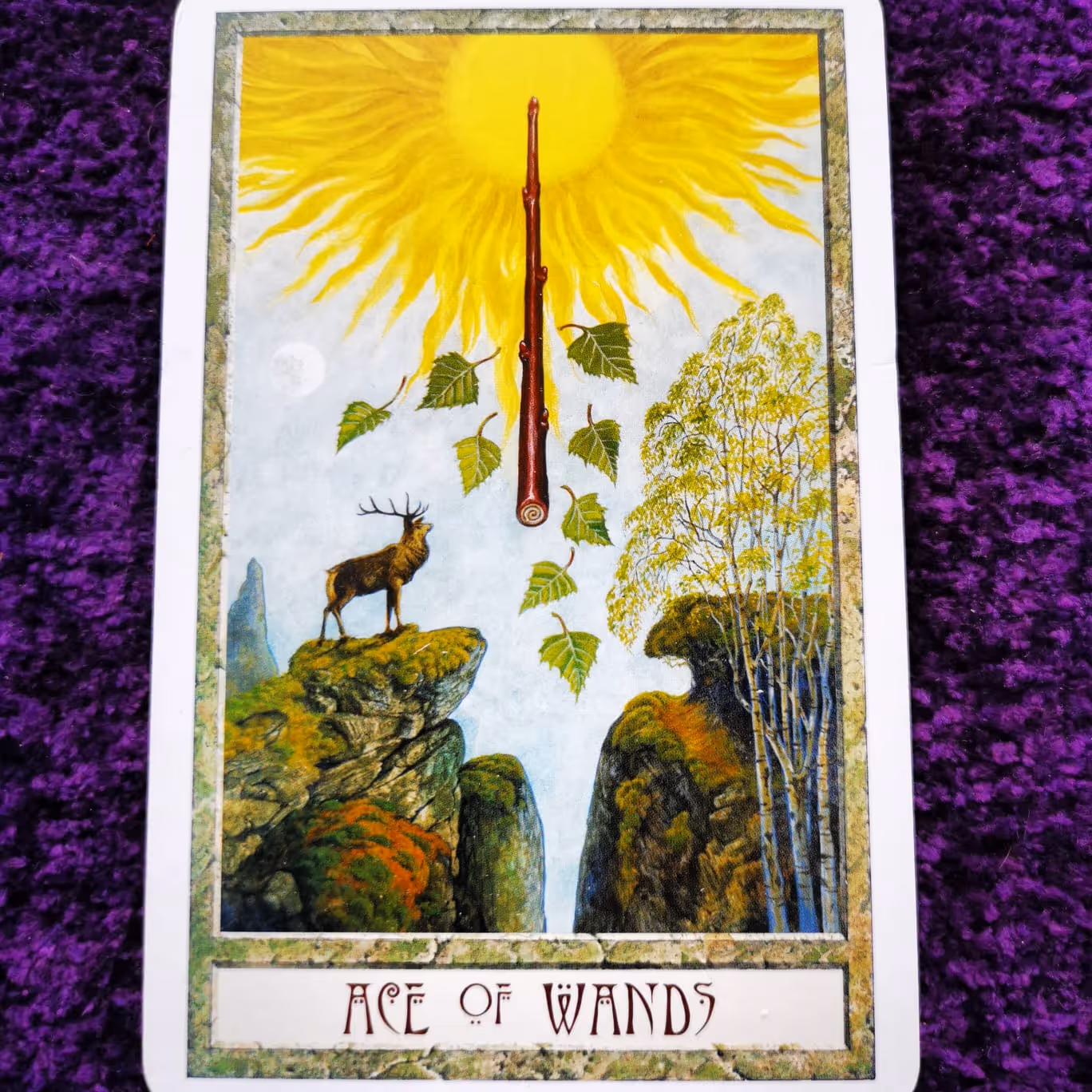 Ace of Wands from the Druid Witchcraft Tarot, depicting a glowing wand above a cliff, representing willpower and divine inspiration.