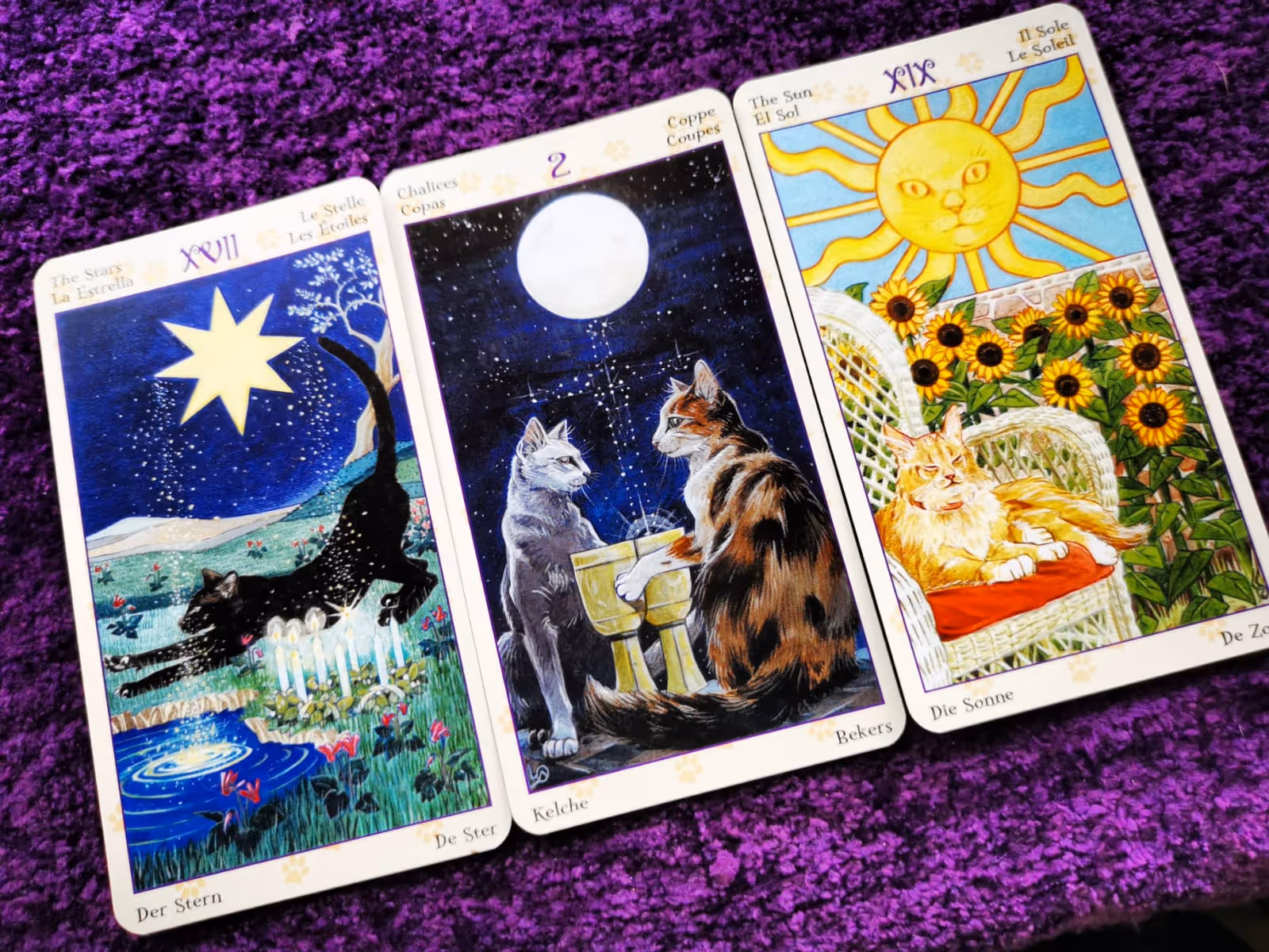 The Star, Two of Cups, and Sun cards from the Cat Tarot deck displayed on a purple cloth in a light-hearted Wiccan reading.