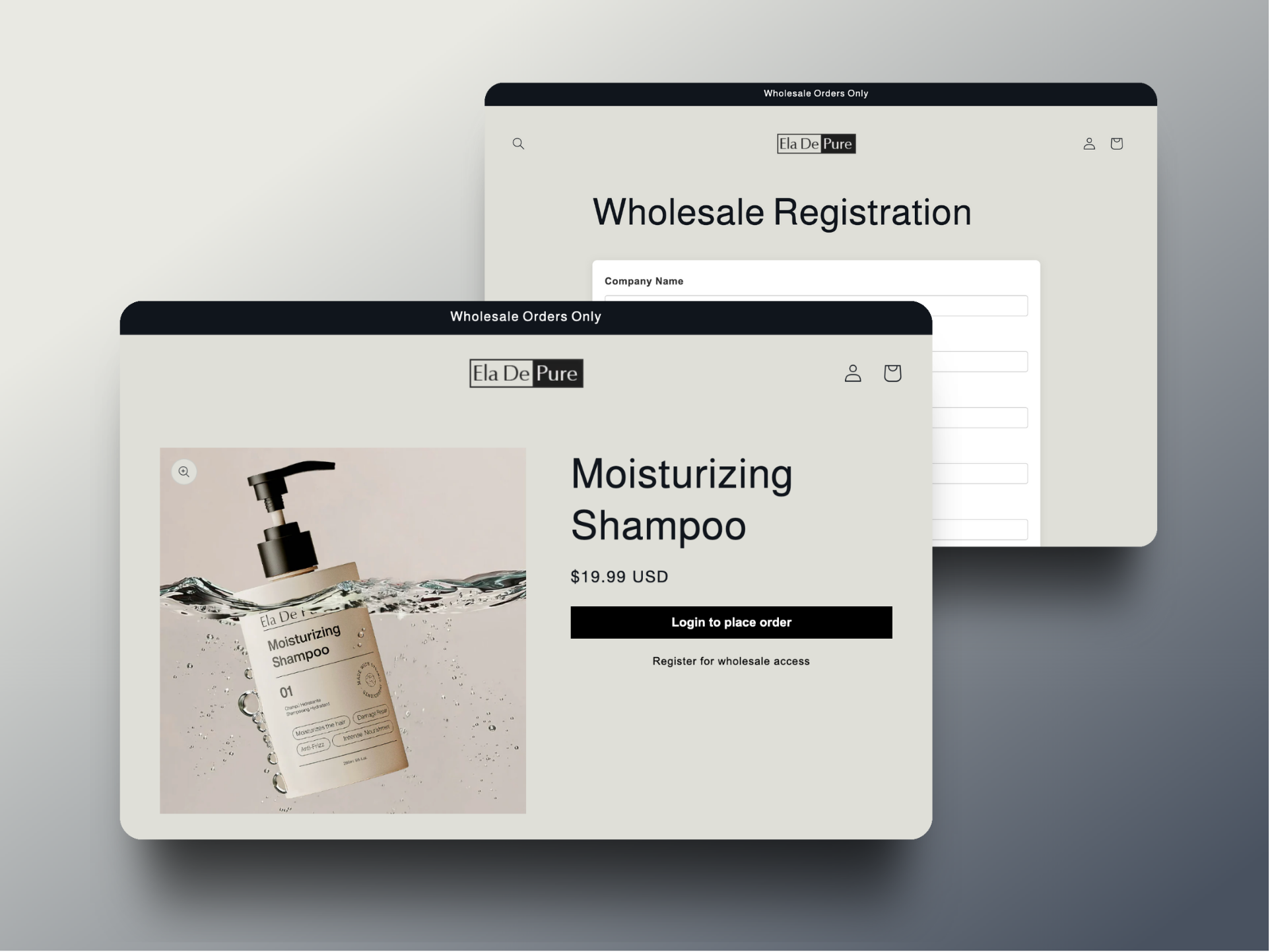 B2B Portal Access 2 asset