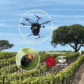 Wine and silicon may seem odd partners, but in 2025 they’re dancing together. The vineyards of tomorrow will be part biology, part data lab. And for you and me? We’ll drink smarter as much as deeper. If you want help crafting a “tech wine” narrative for your audience, count me in.